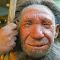 предположительный внешний вид нomo neanderthalensis