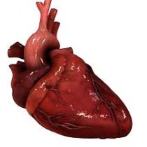 Операции на сердце без хирургического вмешательства