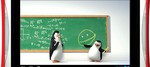 пингвины из мадагаскара